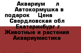 Аквариум 100 л. Автокормушка в подарок. › Цена ­ 2 000 - Свердловская обл., Екатеринбург г. Животные и растения » Аквариумистика   